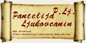 Pantelija Ljukovčanin vizit kartica